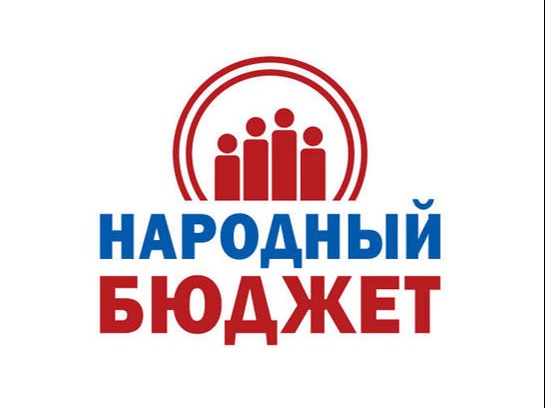 В Крестецком муниципальном округе продолжается работа по реализации практики инициативного бюджетирования  «Народный бюджет»..