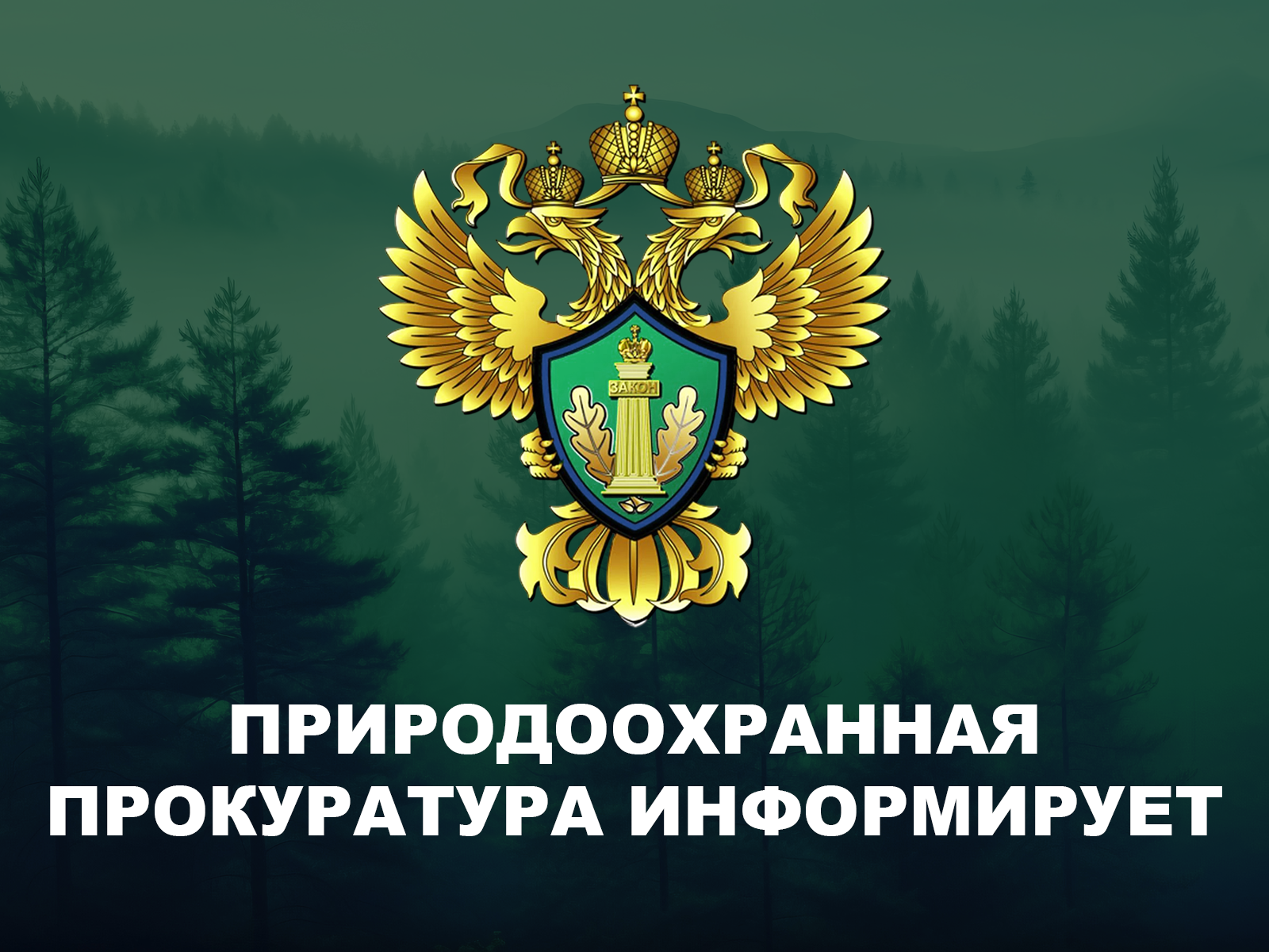 Новгородская межрайонная природоохранная прокуратура информирует.