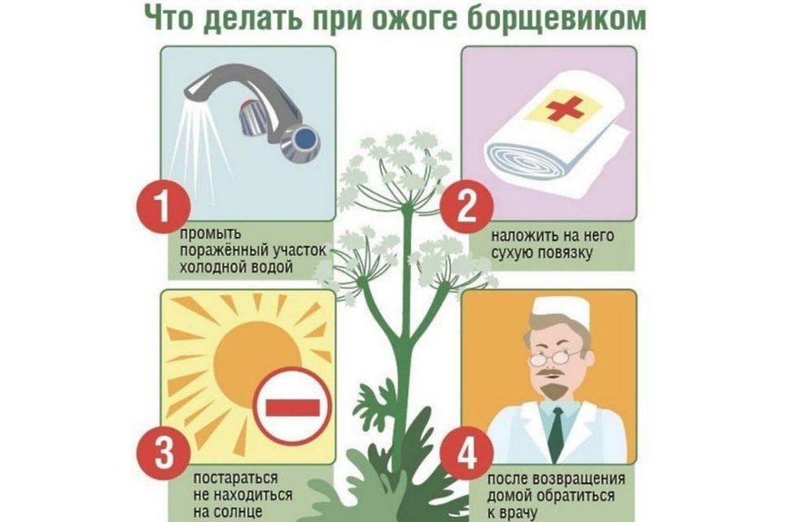 Первая помощь.