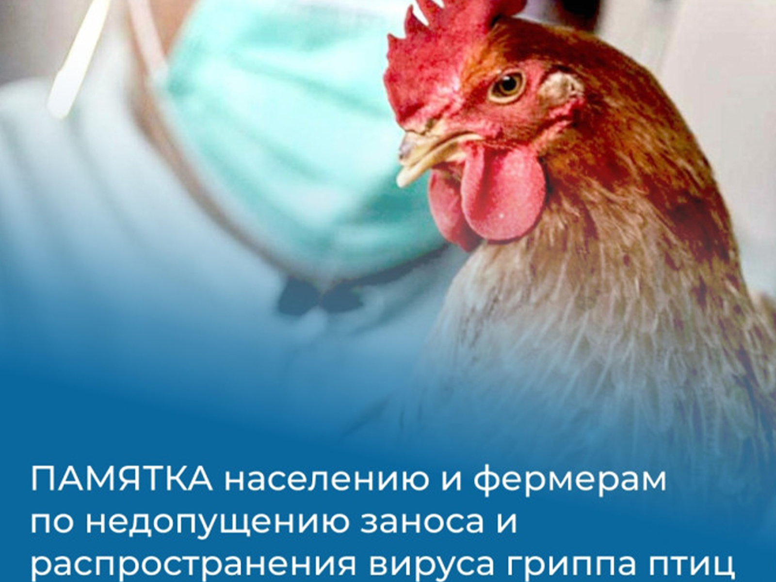 Памятка по недопущению заноса гриппа.
