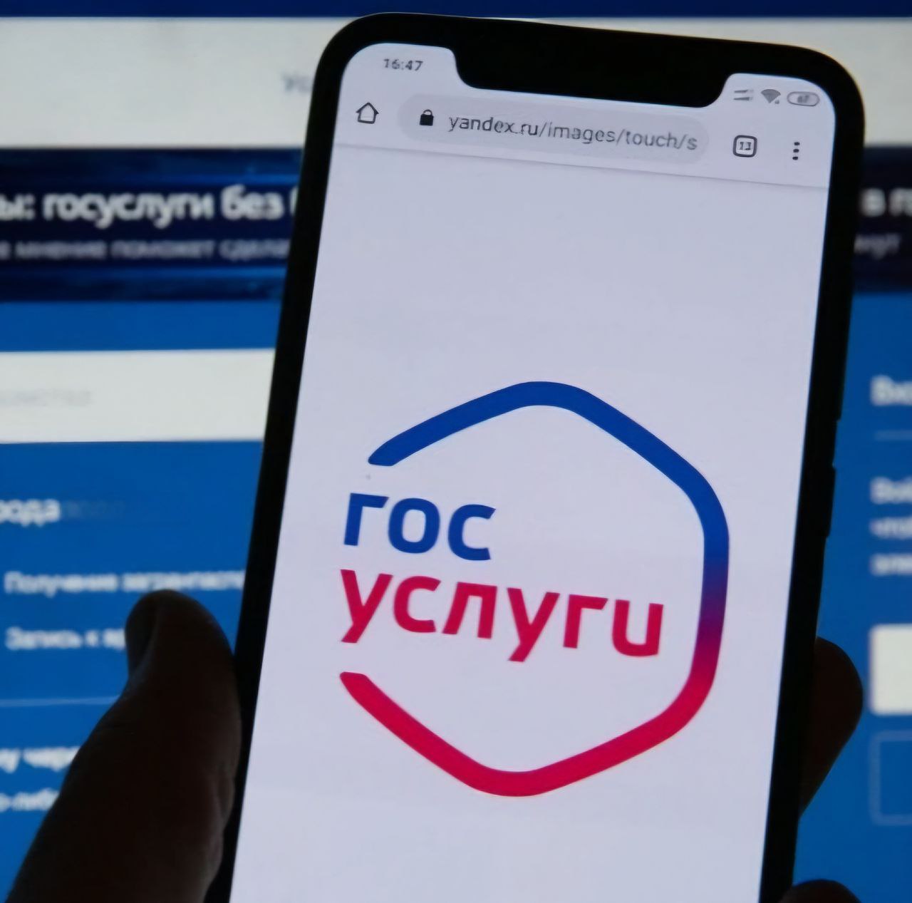 Физические и юридические лица, индивидуальные предприниматели могут получить муниципальные услуги земельно-имущественной сферы.